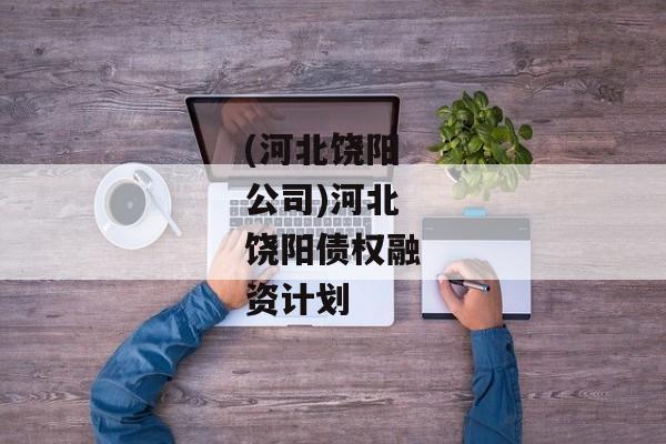 (河北饶阳公司)河北饶阳债权融资计划