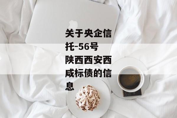 关于央企信托-56号陕西西安西咸标债的信息