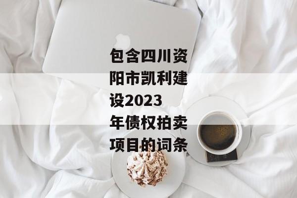 包含四川资阳市凯利建设2023年债权拍卖项目的词条