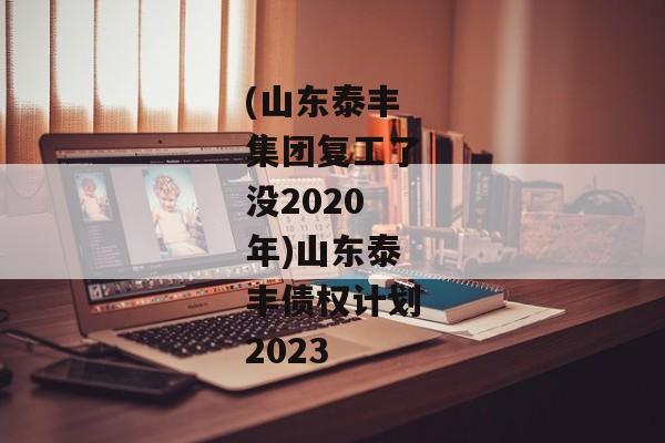 (山东泰丰集团复工了没2020年)山东泰丰债权计划2023-第1张图片-信托定融返点网