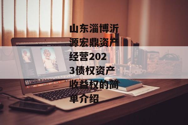 山东淄博沂源宏鼎资产经营2023债权资产收益权的简单介绍