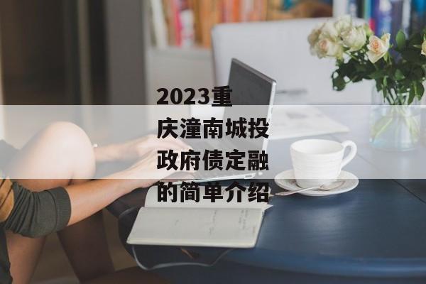 2023重庆潼南城投政府债定融的简单介绍-第1张图片-信托定融返点网