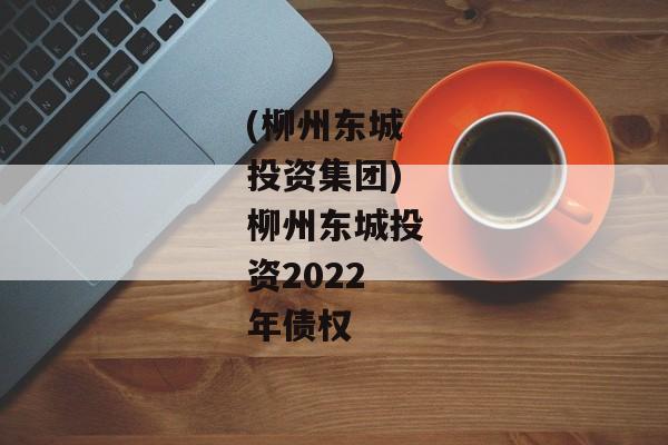 (柳州东城投资集团)柳州东城投资2022年债权