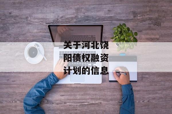 关于河北饶阳债权融资计划的信息