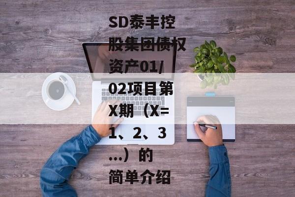 SD泰丰控股集团债权资产01/02项目第X期（X=1、2、3...）的简单介绍-第1张图片-信托定融返点网