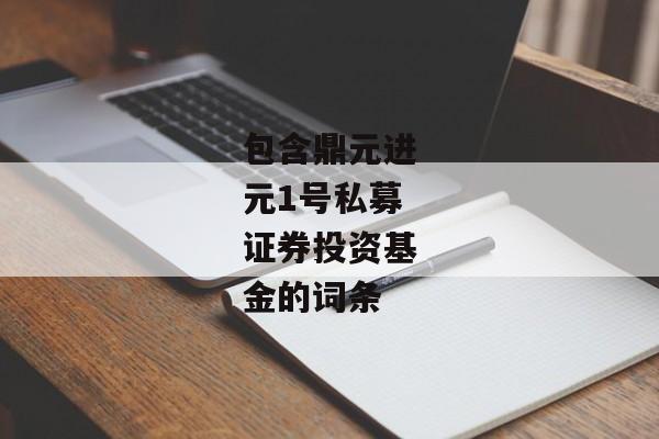 包含鼎元进元1号私募证券投资基金的词条