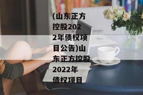 (山东正方控股2022年债权项目公告)山东正方控股2022年债权项目