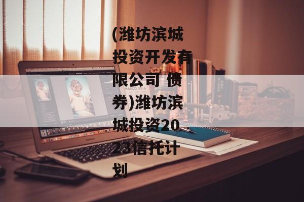 (潍坊滨城投资开发有限公司 债券)潍坊滨城投资2023信托计划