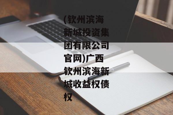 (钦州滨海新城投资集团有限公司官网)广西钦州滨海新城收益权债权-第1张图片-信托定融返点网