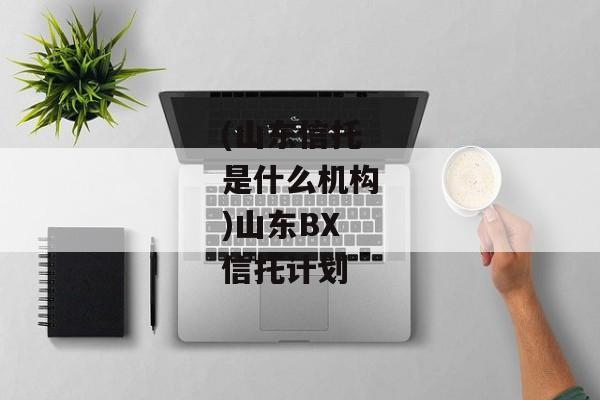 (山东信托是什么机构)山东BX信托计划