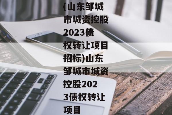 (山东邹城市城资控股2023债权转让项目招标)山东邹城市城资控股2023债权转让项目