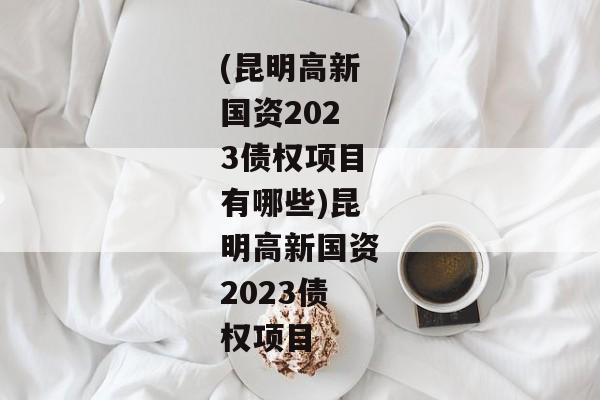 (昆明高新国资2023债权项目有哪些)昆明高新国资2023债权项目-第1张图片-信托定融返点网