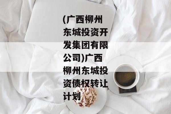 (广西柳州东城投资开发集团有限公司)广西柳州东城投资债权转让计划