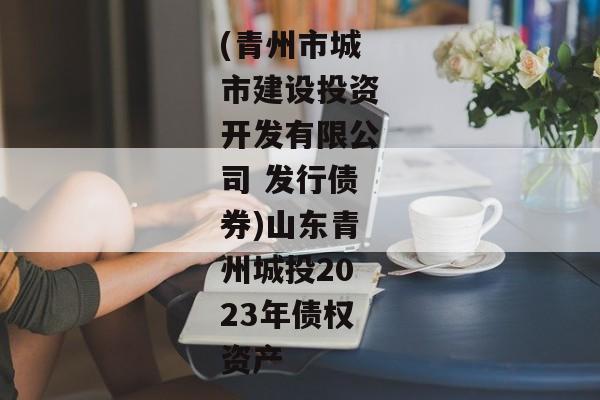 (青州市城市建设投资开发有限公司 发行债券)山东青州城投2023年债权资产