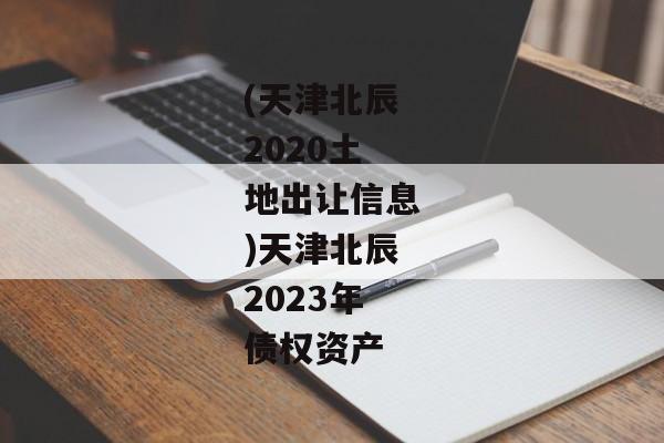 (天津北辰2020土地出让信息)天津北辰2023年债权资产