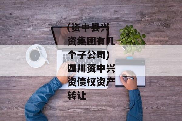 (资中县兴资集团有几个子公司)四川资中兴资债权资产转让