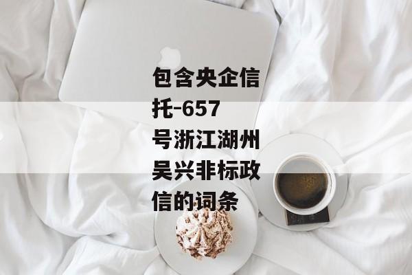 包含央企信托-657号浙江湖州吴兴非标政信的词条