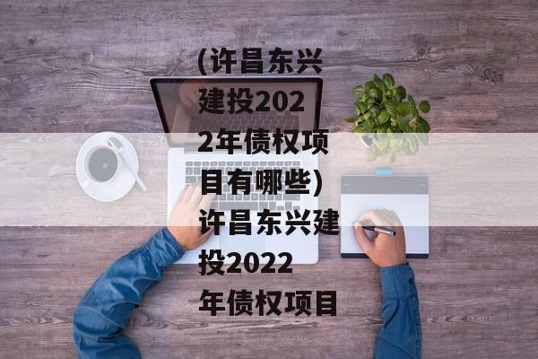 (许昌东兴建投2022年债权项目有哪些)许昌东兴建投2022年债权项目