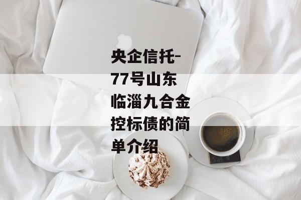 央企信托-77号山东临淄九合金控标债的简单介绍-第1张图片-信托定融返点网