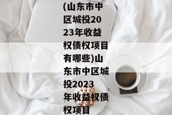 (山东市中区城投2023年收益权债权项目有哪些)山东市中区城投2023年收益权债权项目-第1张图片-信托定融返点网