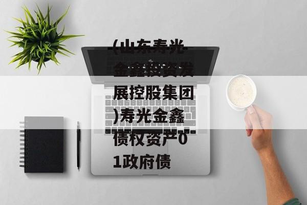 (山东寿光金鑫投资发展控股集团)寿光金鑫债权资产01政府债-第1张图片-信托定融返点网