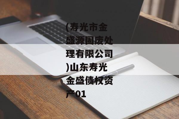 (寿光市金盛源固废处理有限公司)山东寿光金盛债权资产01-第1张图片-信托定融返点网