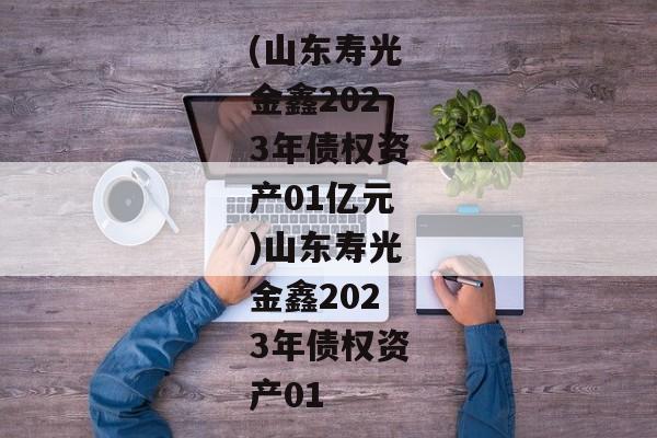 (山东寿光金鑫2023年债权资产01亿元)山东寿光金鑫2023年债权资产01-第1张图片-信托定融返点网