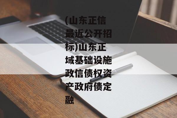 (山东正信最近公开招标)山东正域基础设施政信债权资产政府债定融