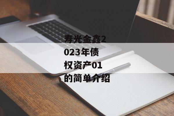 寿光金鑫2023年债权资产01的简单介绍-第1张图片-信托定融返点网