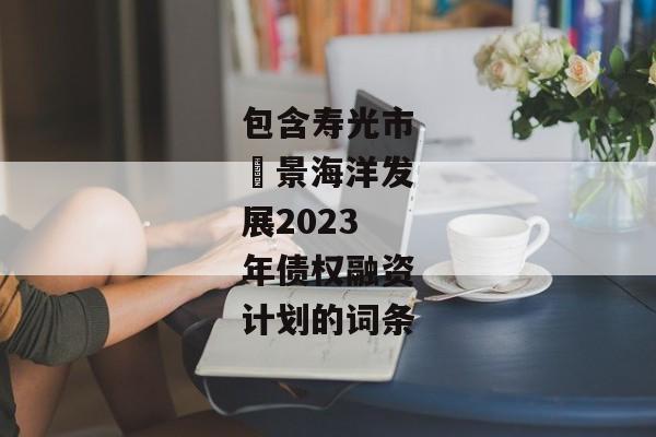 包含寿光市昇景海洋发展2023年债权融资计划的词条