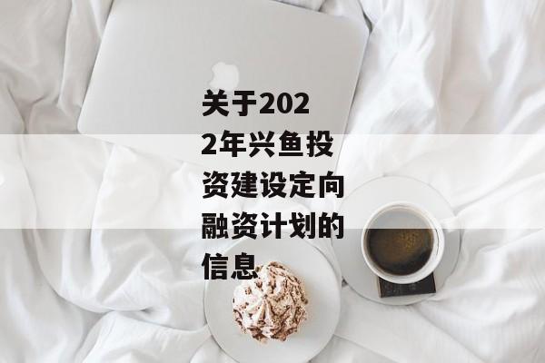 关于2022年兴鱼投资建设定向融资计划的信息