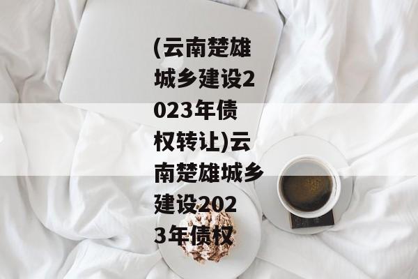 (云南楚雄城乡建设2023年债权转让)云南楚雄城乡建设2023年债权