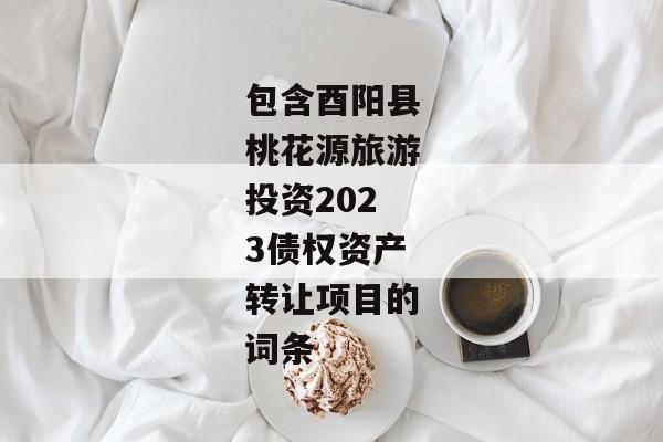 包含酉阳县桃花源旅游投资2023债权资产转让项目的词条