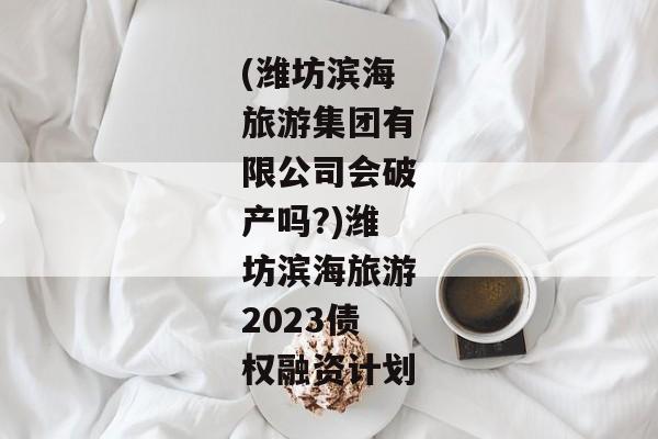 (潍坊滨海旅游集团有限公司会破产吗?)潍坊滨海旅游2023债权融资计划-第1张图片-信托定融返点网