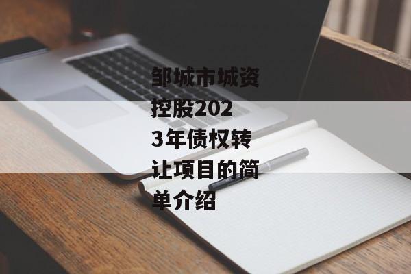 邹城市城资控股2023年债权转让项目的简单介绍