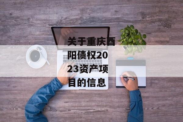 关于重庆酉阳债权2023资产项目的信息