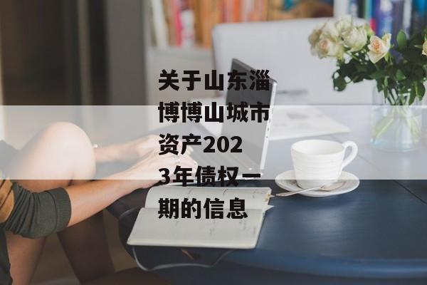 关于山东淄博博山城市资产2023年债权一期的信息