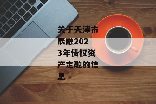 关于天津市辰融2023年债权资产定融的信息