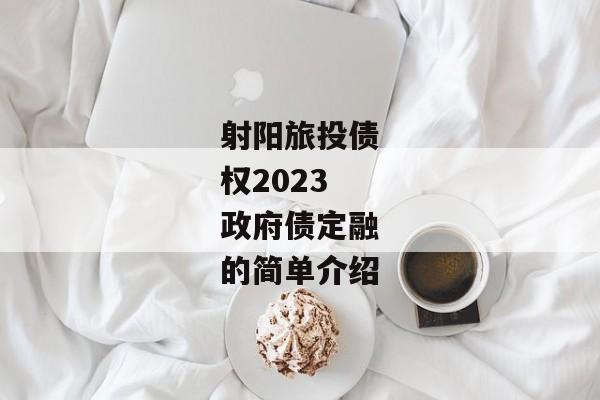 射阳旅投债权2023政府债定融的简单介绍