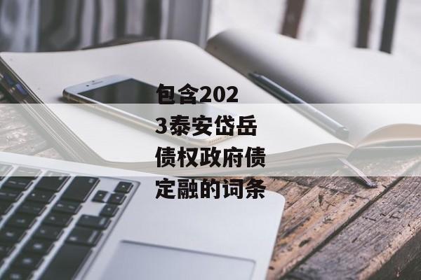 包含2023泰安岱岳债权政府债定融的词条-第1张图片-信托定融返点网