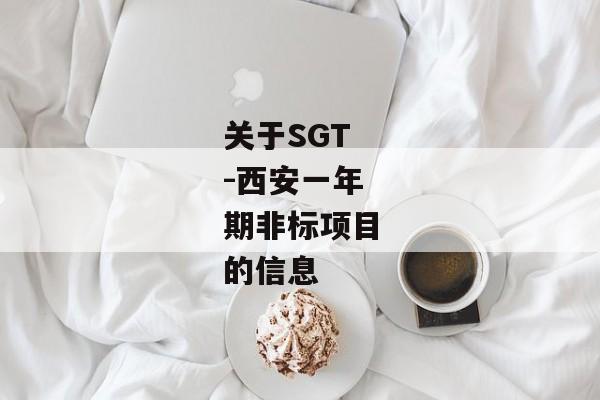 关于SGT-西安一年期非标项目的信息-第1张图片-信托定融返点网