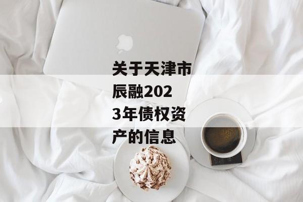 关于天津市辰融2023年债权资产的信息