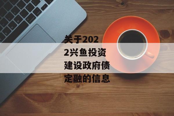 关于2022兴鱼投资建设政府债定融的信息