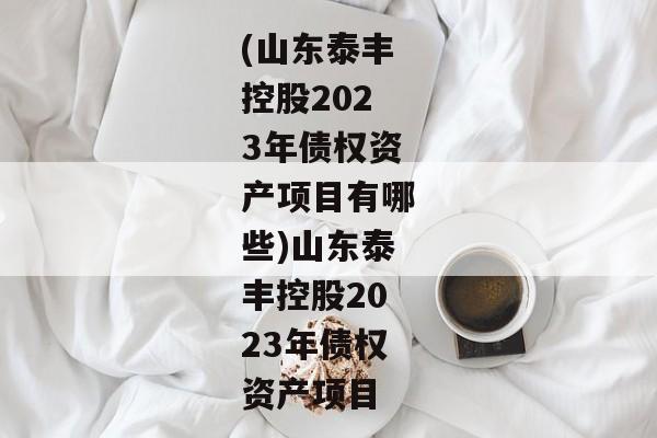 (山东泰丰控股2023年债权资产项目有哪些)山东泰丰控股2023年债权资产项目