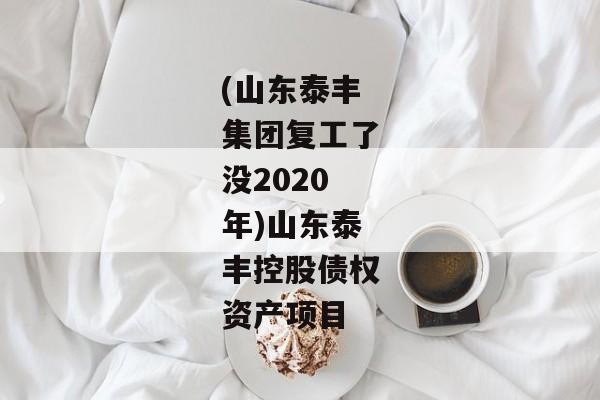 (山东泰丰集团复工了没2020年)山东泰丰控股债权资产项目