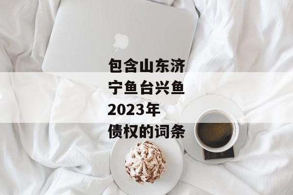 包含山东济宁鱼台兴鱼2023年债权的词条-第1张图片-信托定融返点网