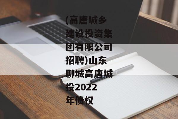 (高唐城乡建设投资集团有限公司招聘)山东聊城高唐城投2022年债权