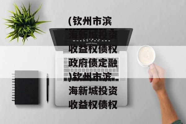 (钦州市滨海新城投资收益权债权政府债定融)钦州市滨海新城投资收益权债权