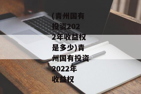 (青州国有投资2022年收益权是多少)青州国有投资2022年收益权-第1张图片-信托定融返点网