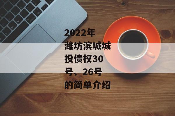 2022年潍坊滨城城投债权30号、26号的简单介绍